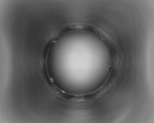 X0000112390747200908201542