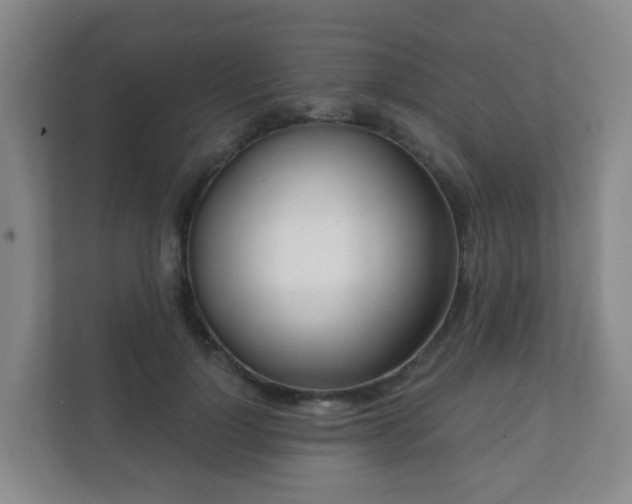 X0000112390748200908201542