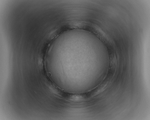 X0000112390749200908201542