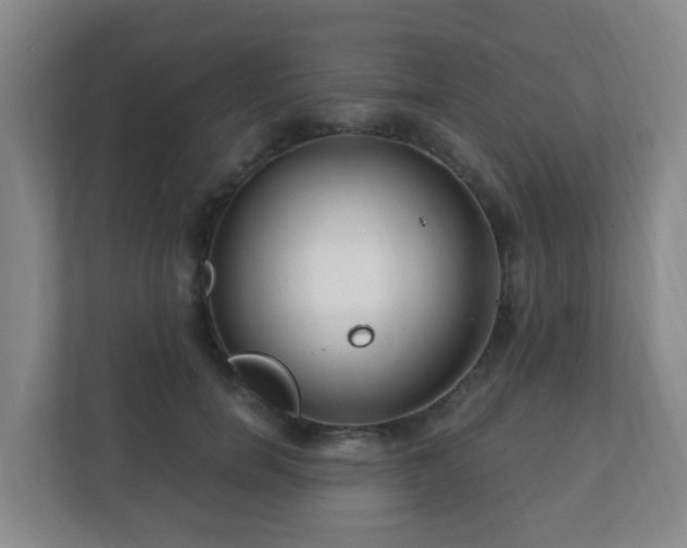 X0000112390750200908201542