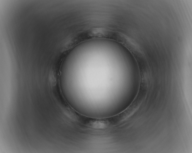 X0000112390751200908201542