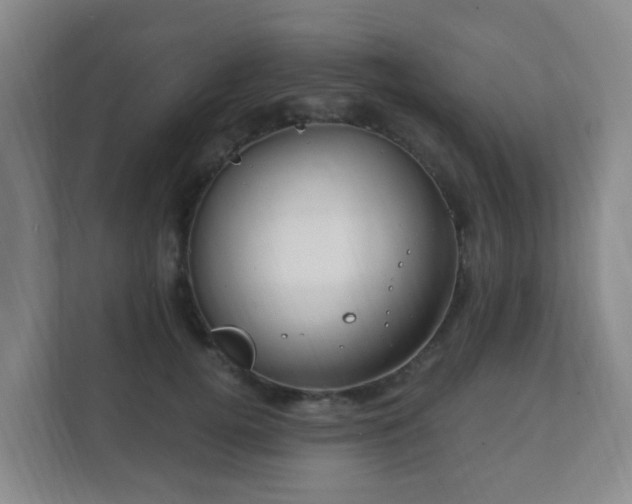 X0000112390752200908201542