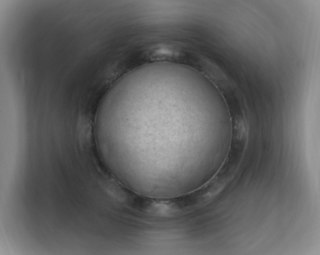 X0000112390753200908201542