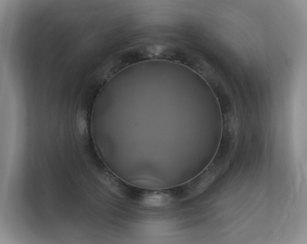 X0000112390754200908201542