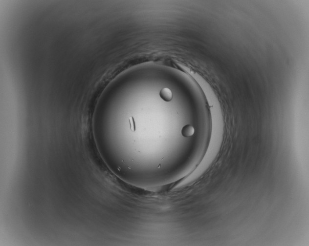 X0000112390756200908201542