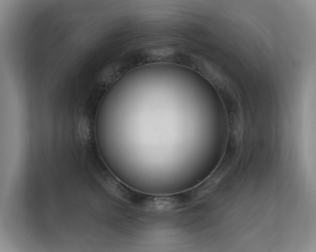 X0000112390758200908201542