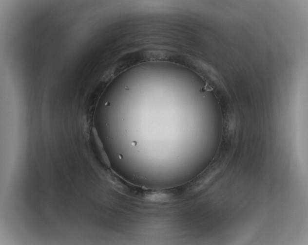 X0000112390759200908201542