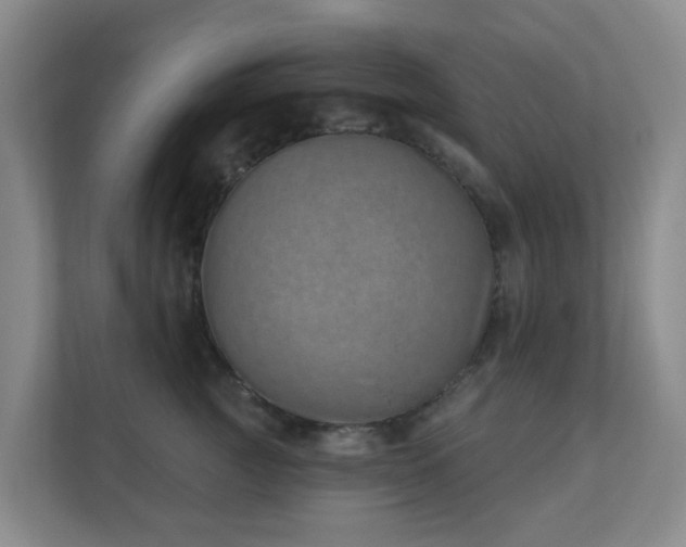 X0000112390761200908201542