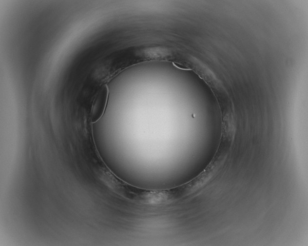 X0000112390762200908201542