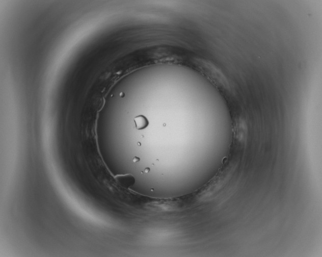 X0000112390763200908201542