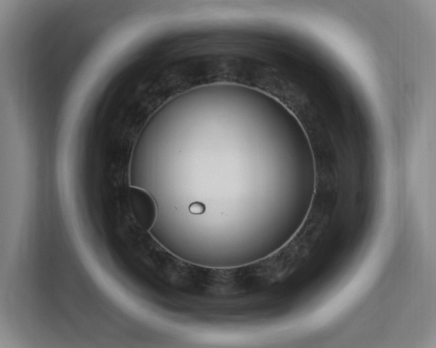 X0000112390766200908201542