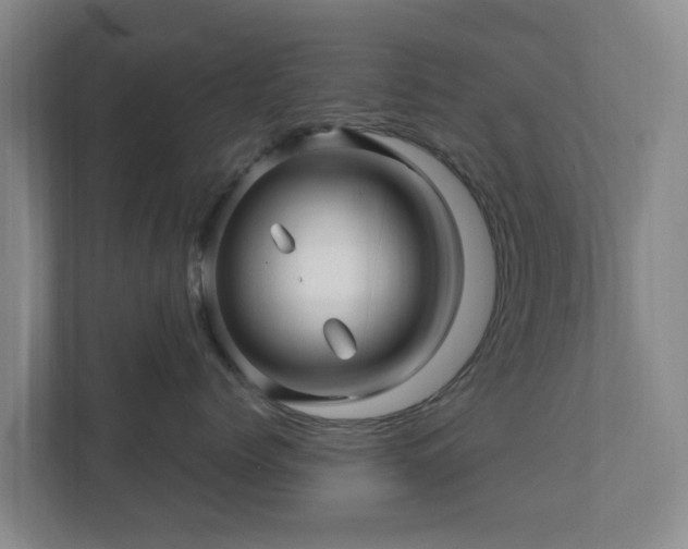 X0000112390768200908201542