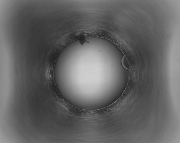 X0000112390770200908201541