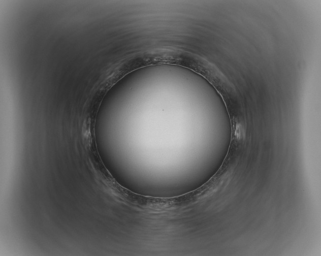 X0000112390771200908201541