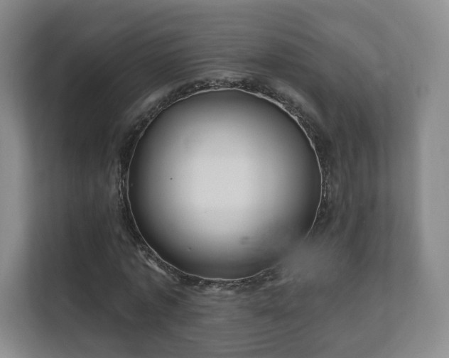 X0000112390773200908201541