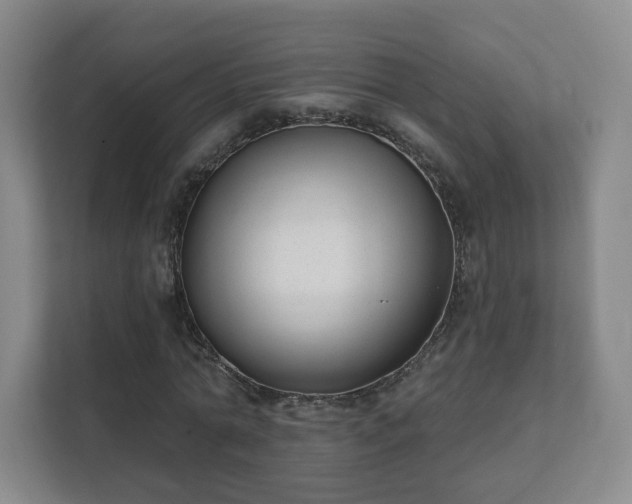 X0000112390774200908201541