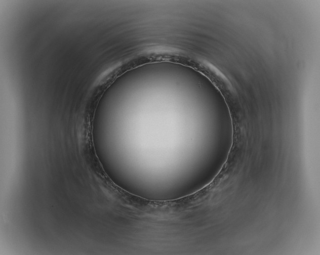 X0000112390775200908201541