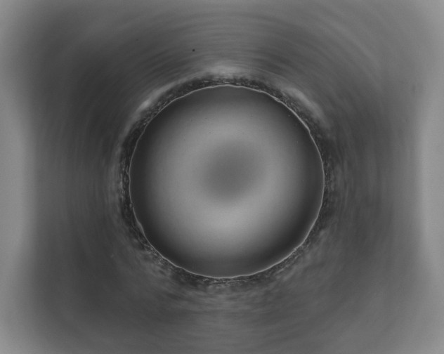 X0000112390776200908201541