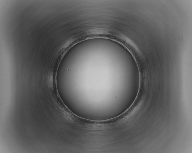 X0000112390777200908201541