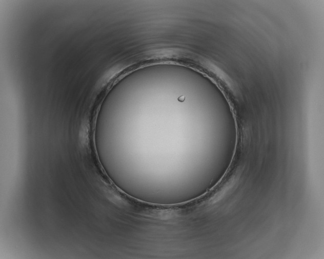 X0000112390778200908201541