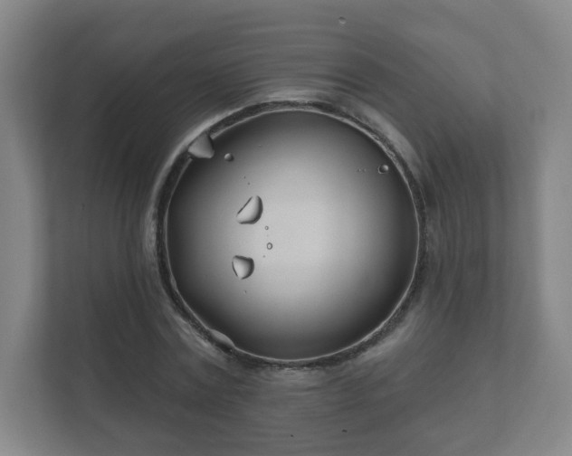 X0000112390779200908201541