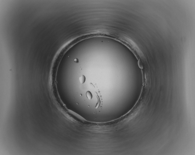 X0000112390780200908201541