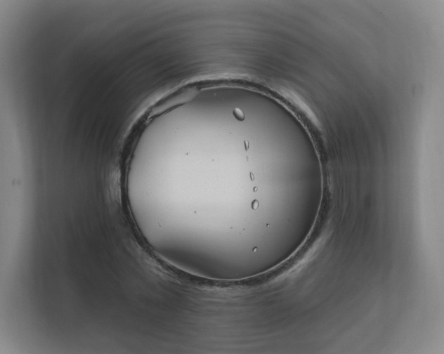 X0000112390781200908201541