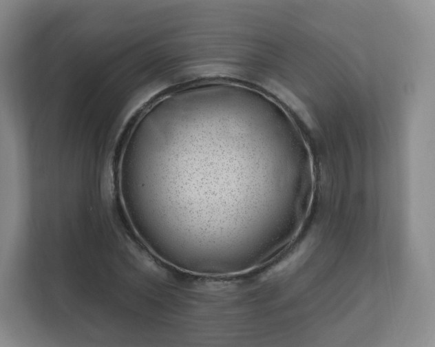 X0000112390782200908201541