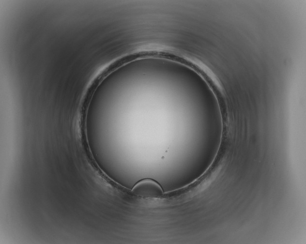 X0000112390783200908201541