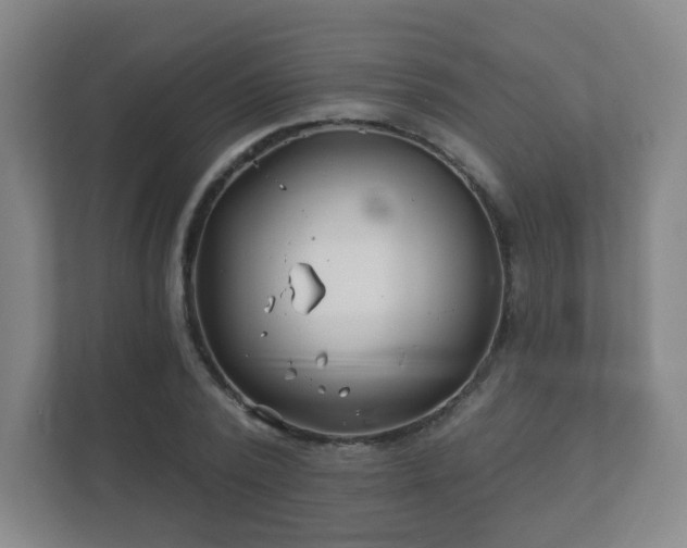 X0000112390784200908201541