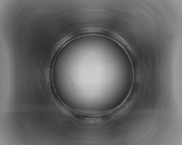 X0000112390786200908201541