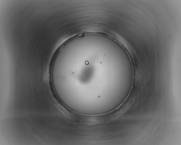 X0000112390787200908201541