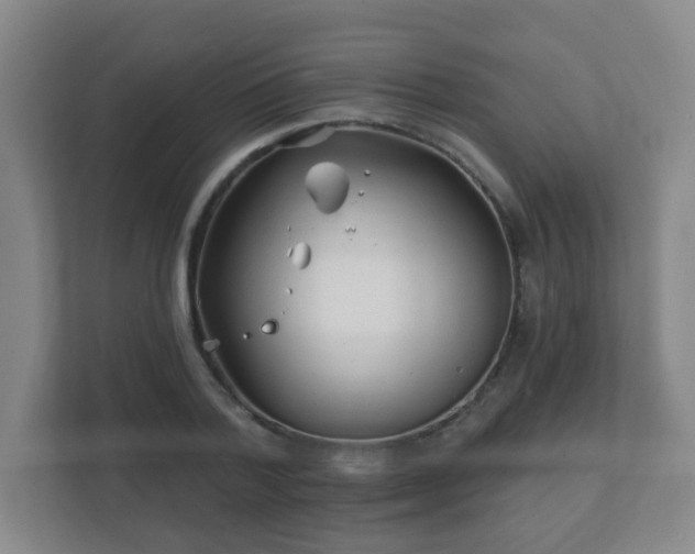 X0000112390788200908201541