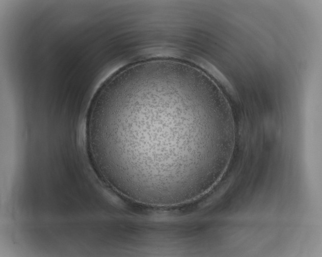 X0000112390790200908201541