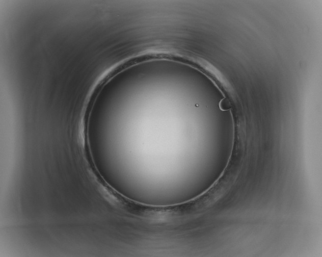 X0000112390791200908201541