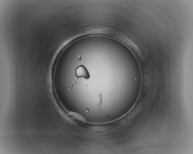 X0000112390792200908201541