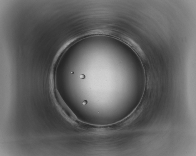 X0000112390796200908201541