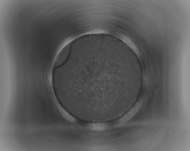 X0000112390797200908201541