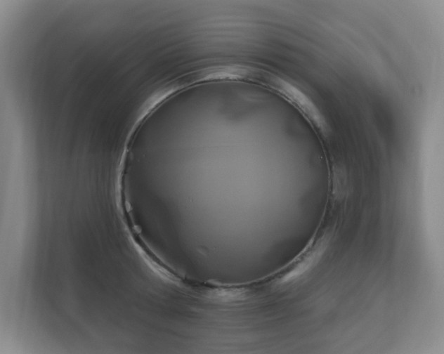 X0000112390802200908201541