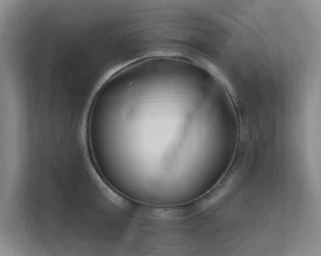 X0000112390803200908201541