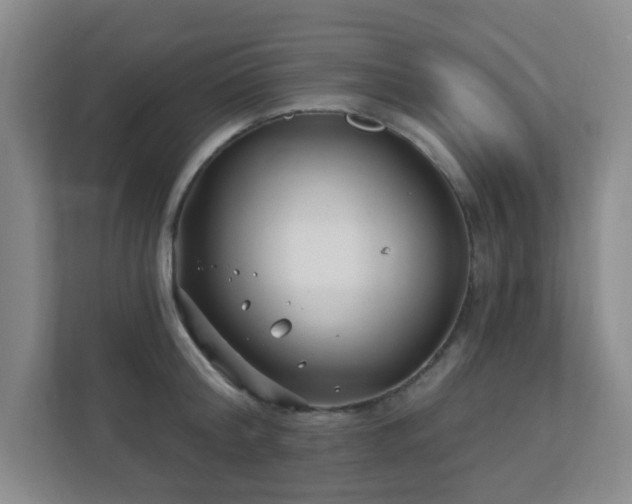 X0000112390804200908201541