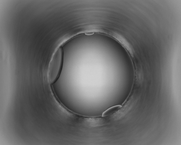 X0000112390805200908201541