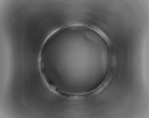 X0000112390806200908201541