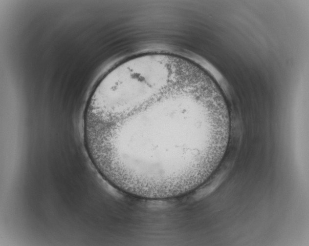 X0000112390807200908201541