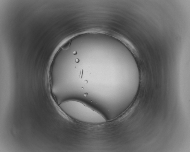 X0000112390808200908201541