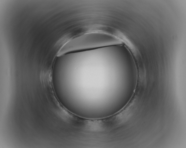 X0000112390809200908201541