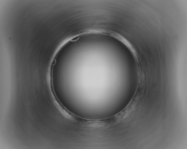 X0000112390811200908201541