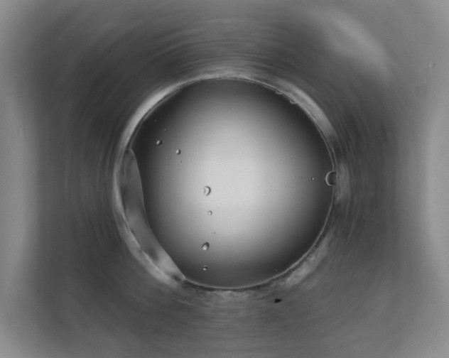 X0000112390812200908201541