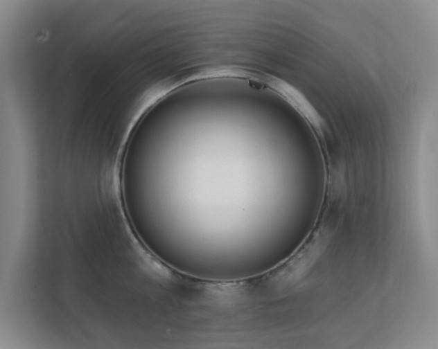 X0000112390813200908201541