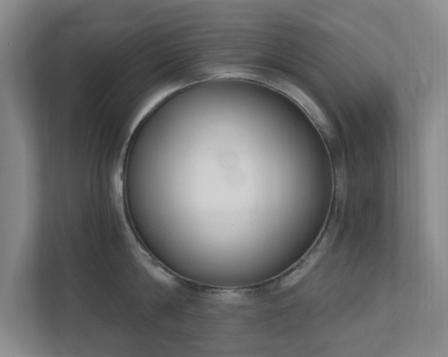 X0000112390814200908201541